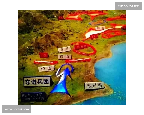 沈阳、锦州、葫芦岛三地联合举办辽宁上海热身赛 沈阳首战引关注 沈阳、锦州、葫芦岛三地联合举办辽宁上海热身赛 沈阳首战引关注